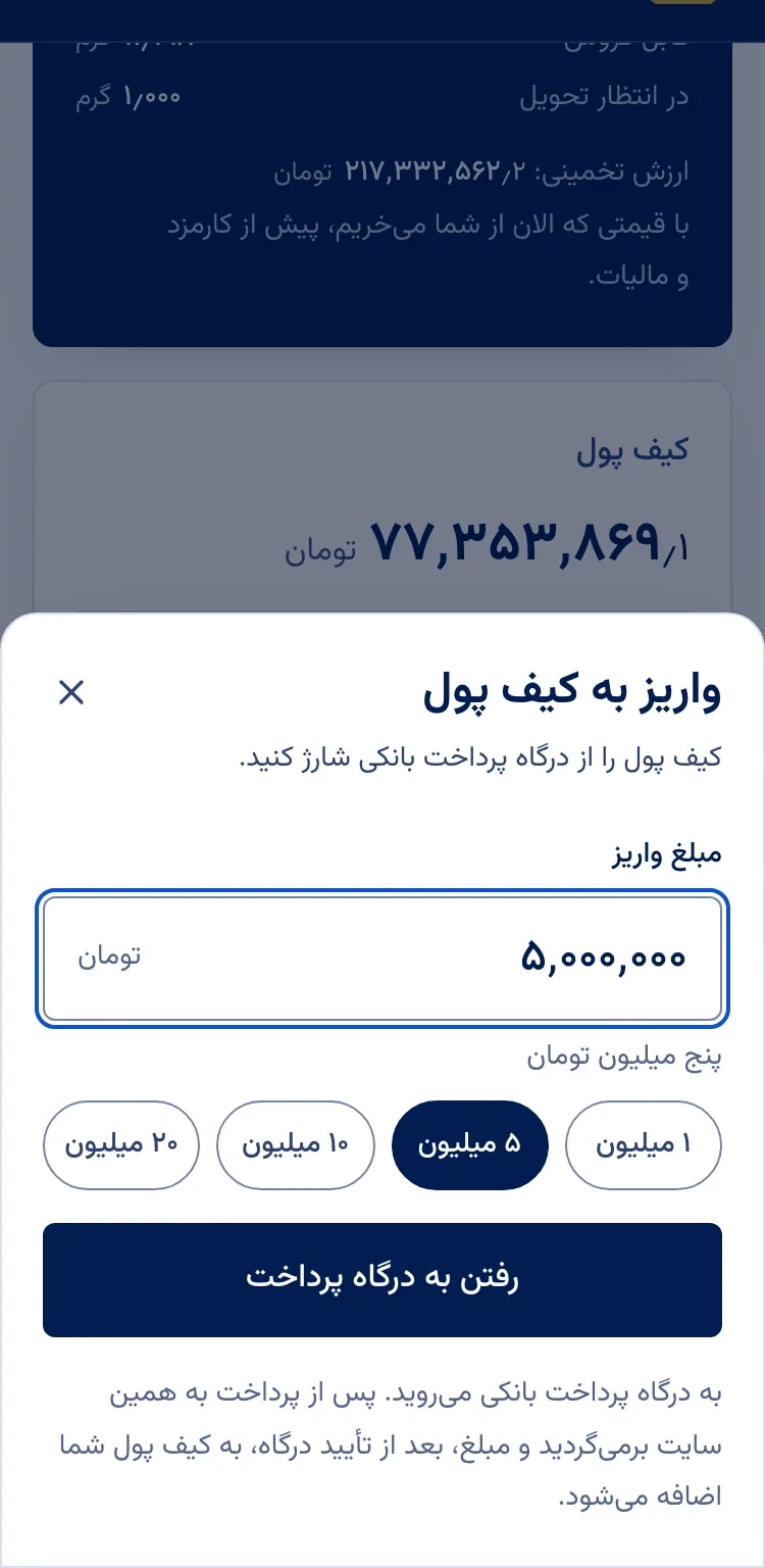 صفحه واریز به کیف پول: مبلغ واریز و دکمه رفتن به درگاه پرداخت